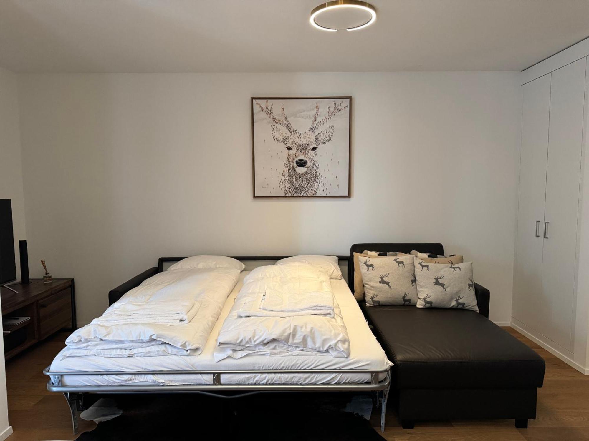 Beautiful Sunny New 1 Bed Apt Flims Eksteriør billede